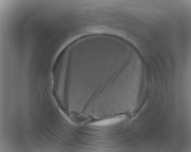 X0000081361509200702082307