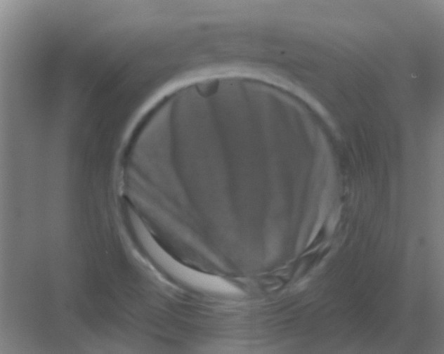 X0000081361510200702082307