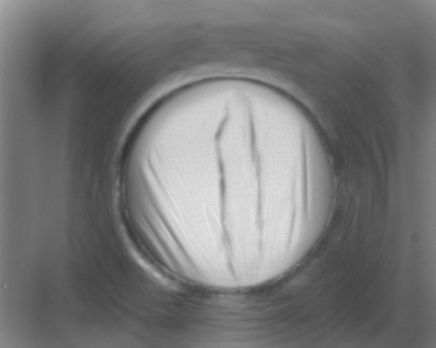 X0000081361511200702082307