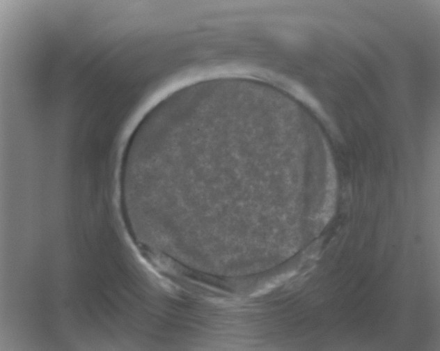 X0000081361512200702082307