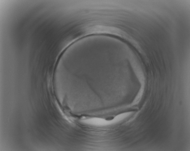 X0000081361513200702082307