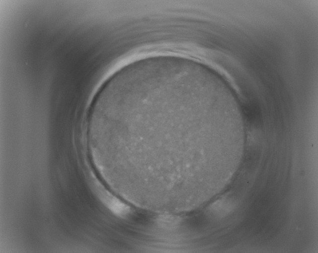 X0000081361514200702082307