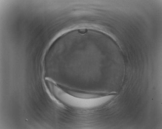 X0000081361515200702082307