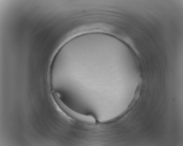 X0000081361516200702082307