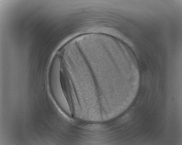 X0000081361517200702082307