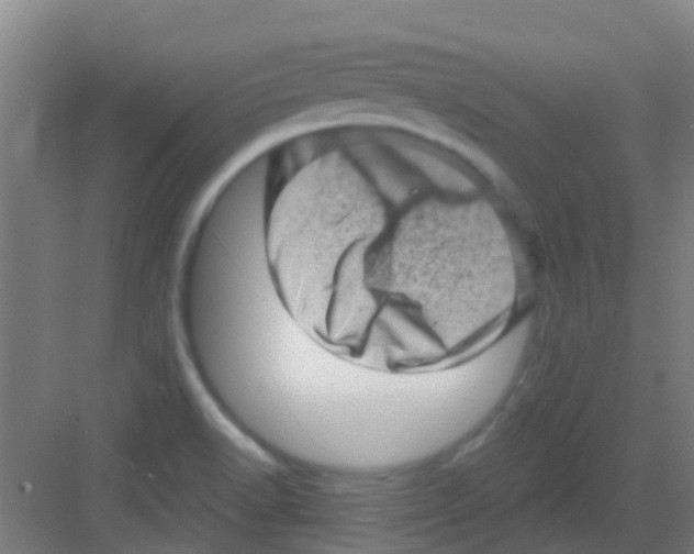 X0000081361518200702082307