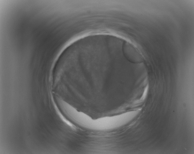 X0000081361519200702082307