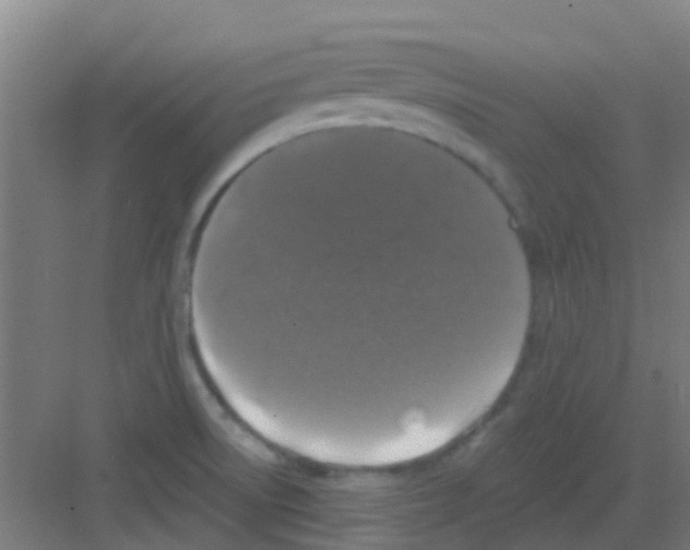 X0000081361522200702082307