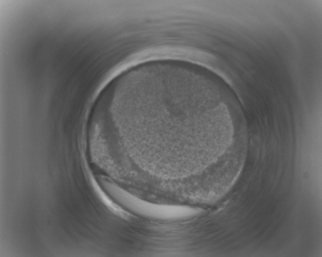 X0000081361523200702082307