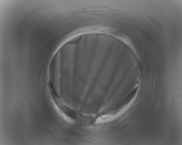 X0000081361524200702082307