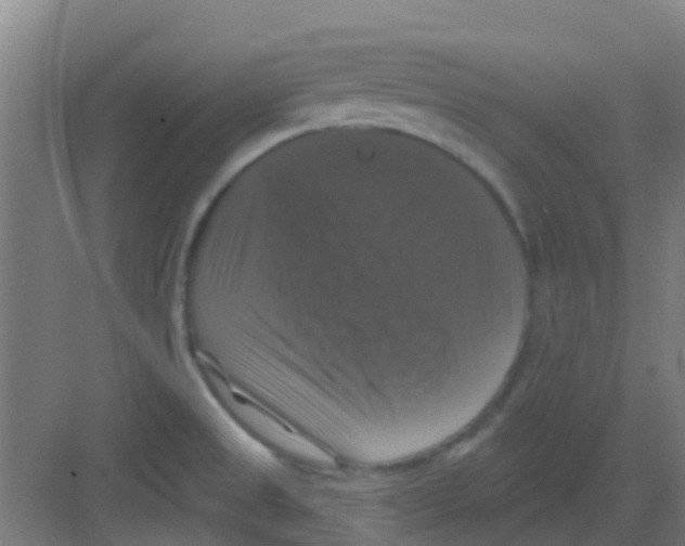 X0000081361525200702082307