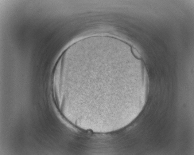 X0000081361526200702082307