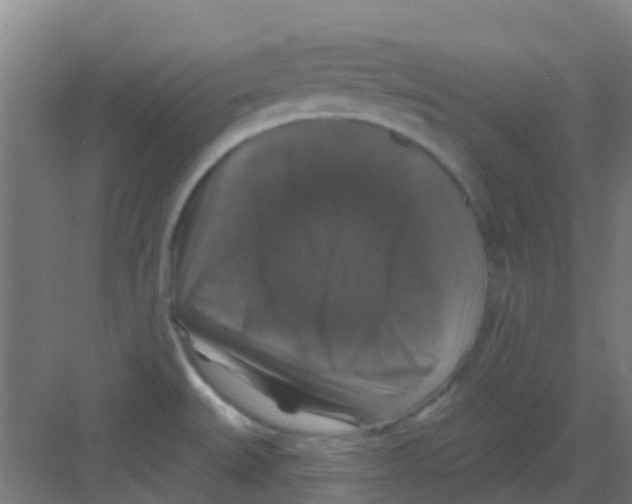 X0000081361527200702082307