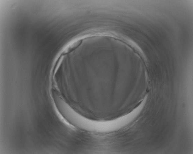 X0000081361528200702082307