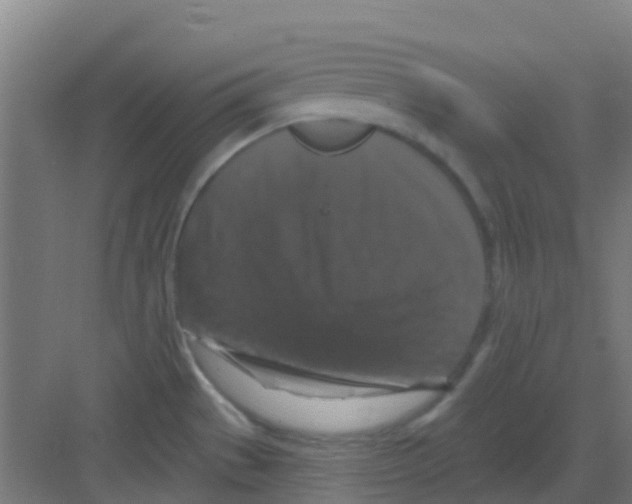 X0000081361529200702082307