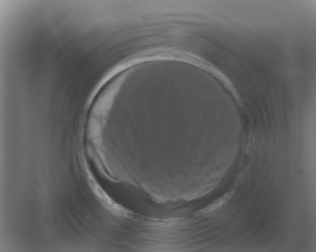 X0000081361530200702082307