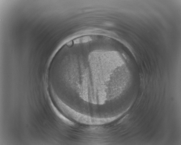 X0000081361531200702082307