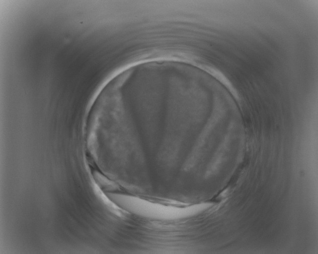 X0000081361532200702082307