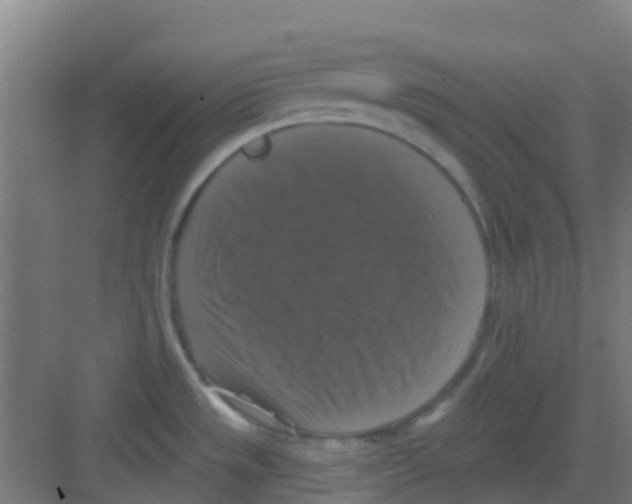 X0000081361533200702082307