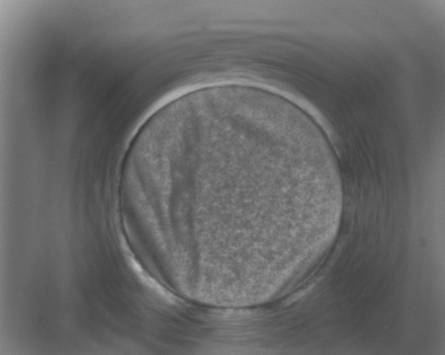 X0000081361534200702082307