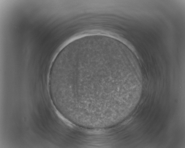 X0000081361535200702082307