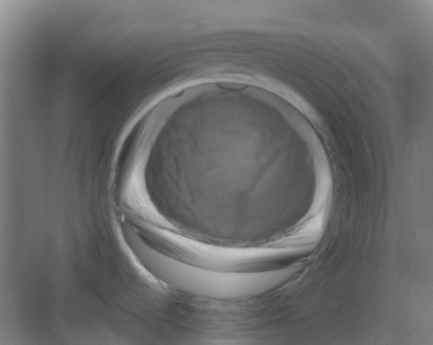 X0000081361536200702082307