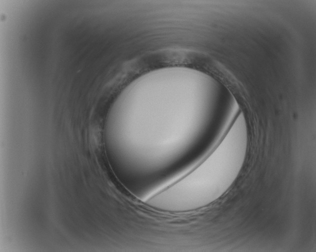 X0000081370035200701111118