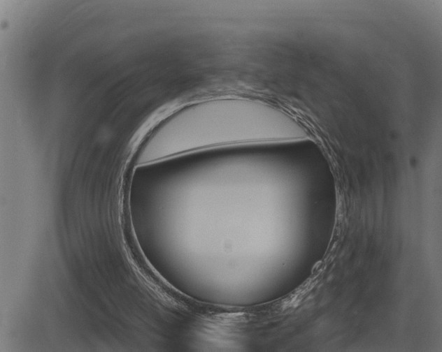 X0000081370054200701111117