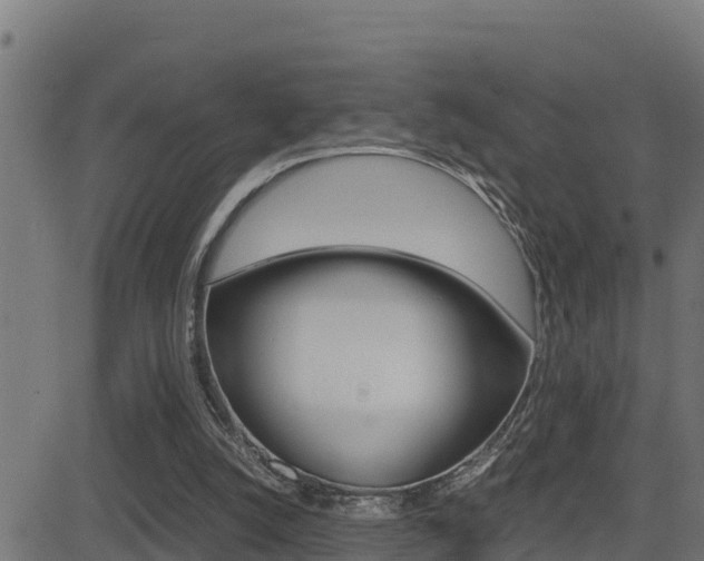 X0000081370056200701111117