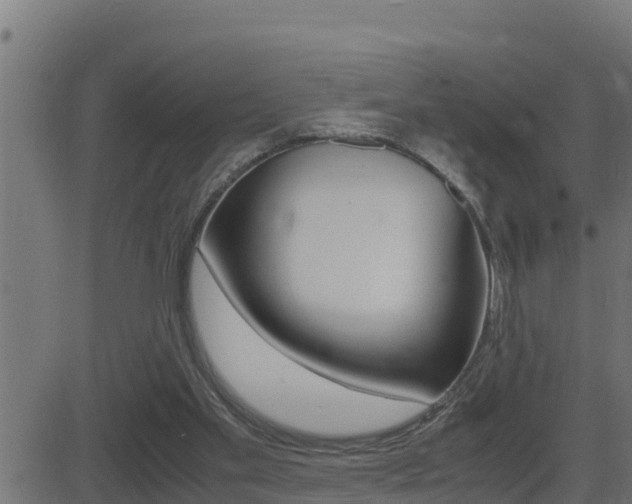 X0000081370109200701111117