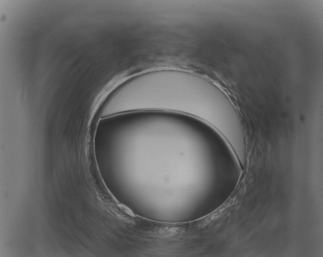 X0000081370152200701111116