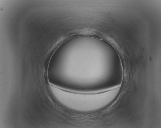 X0000081370201200701111115