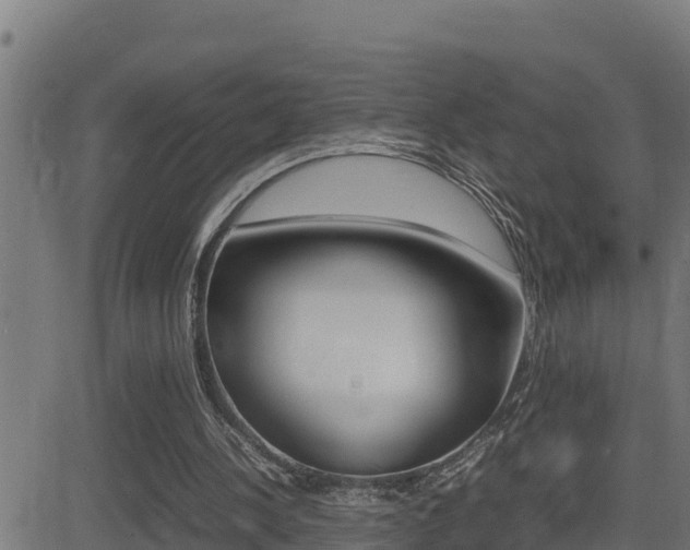 X0000081370244200701111114