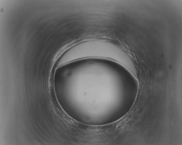 X0000081370340200701111112