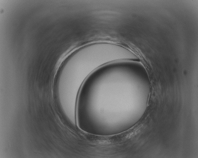 X0000081370344200701111112