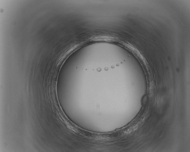 X0000081370529200701111109