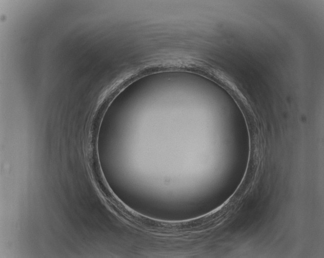 X0000081370677200701111107