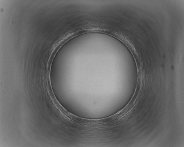 X0000081370721200701111106