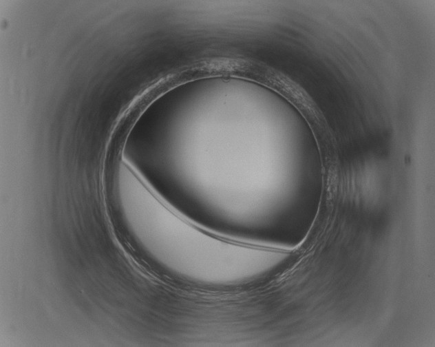 X0000081370722200701111106