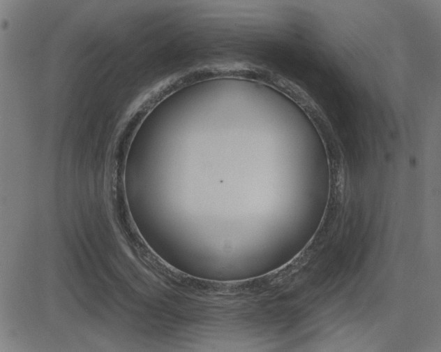 X0000081370732200701111106