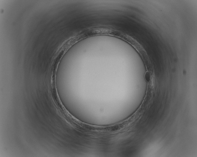 X0000081370733200701111106