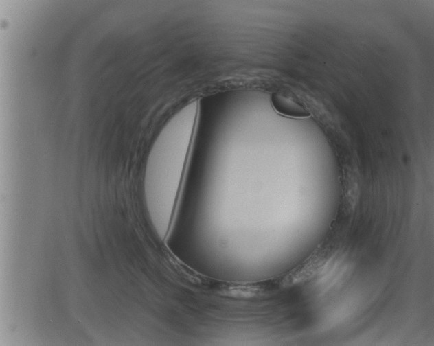 X0000081370758200701111106