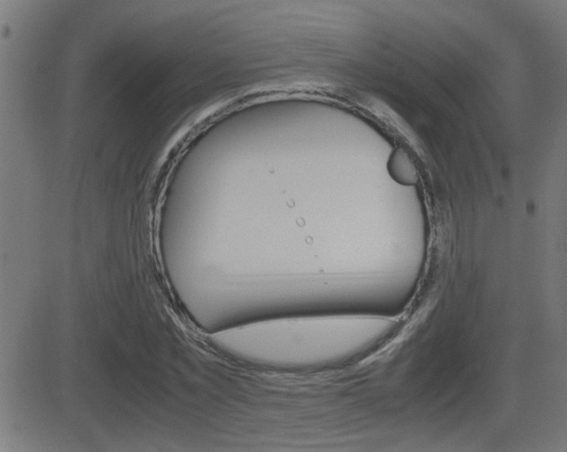 X0000081370781200701111106