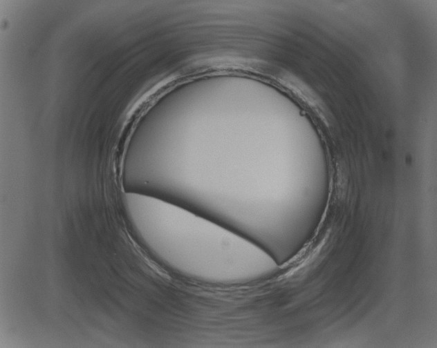 X0000081370782200701111106