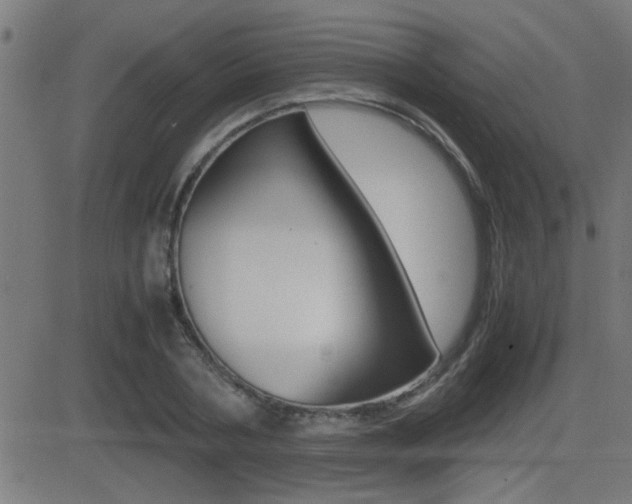 X0000081370786200701111106