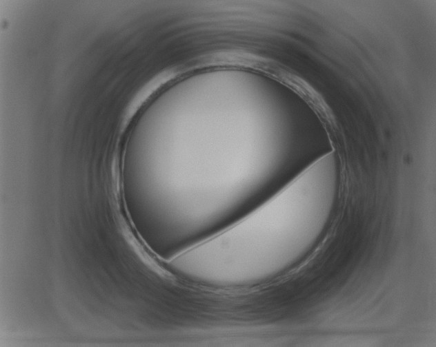 X0000081370796200701111105