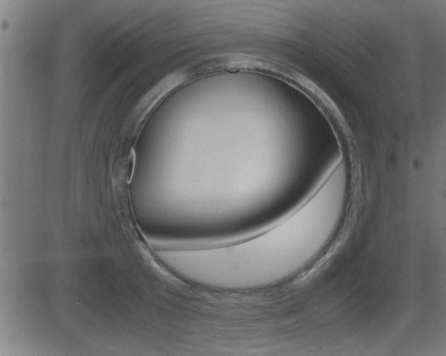 X0000081370801200701111105