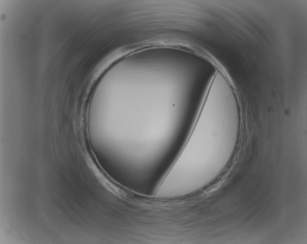 X0000081370803200701111105
