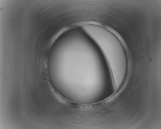 X0000081370809200701111105