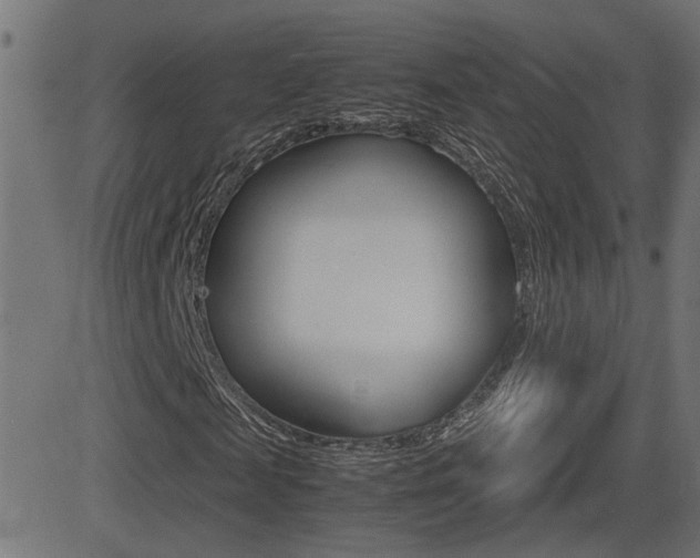 X0000081370817200701111104